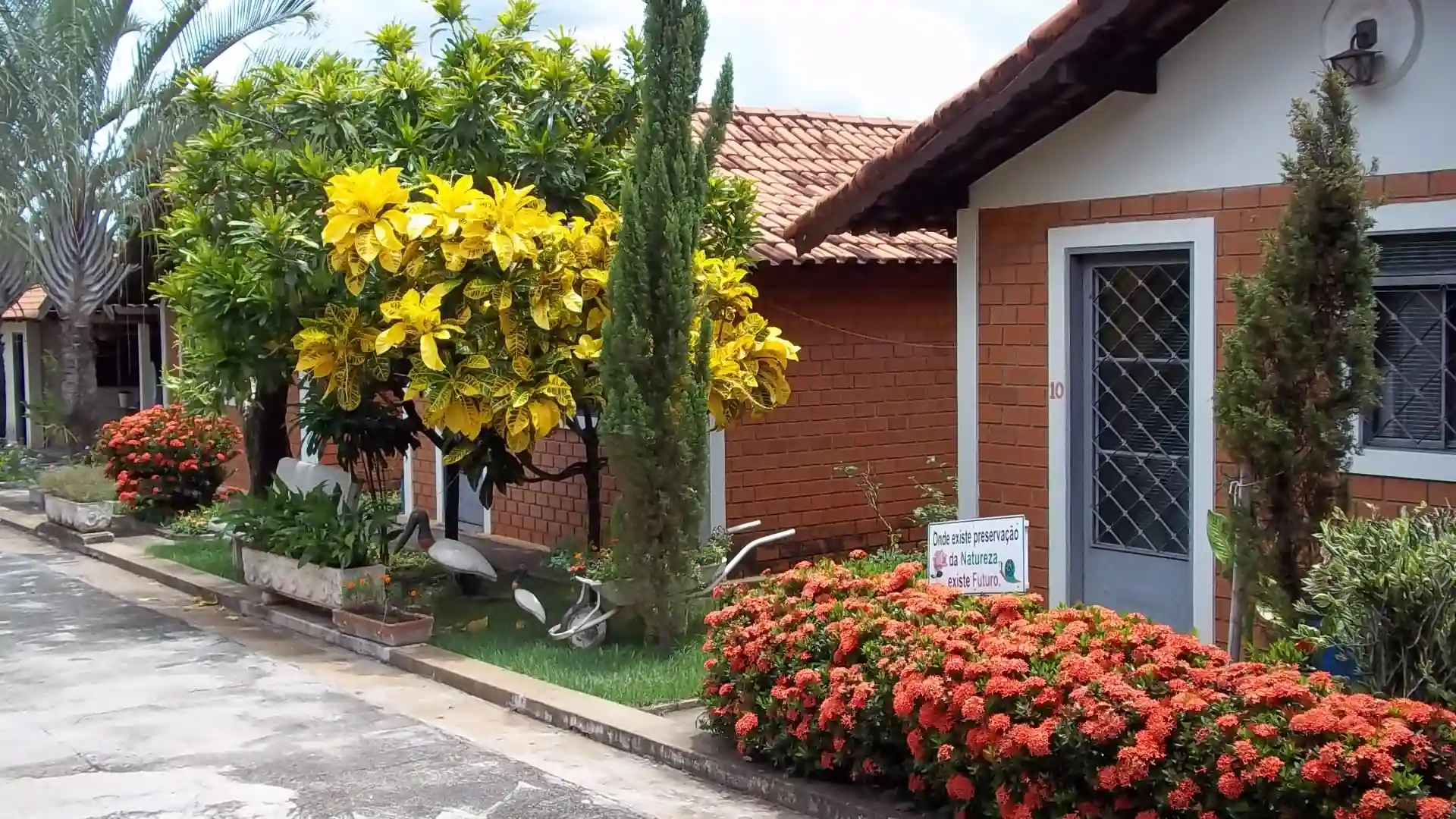 Imóvel Comercial com 11 quartos à venda, 5000m² — foto 2 de 17