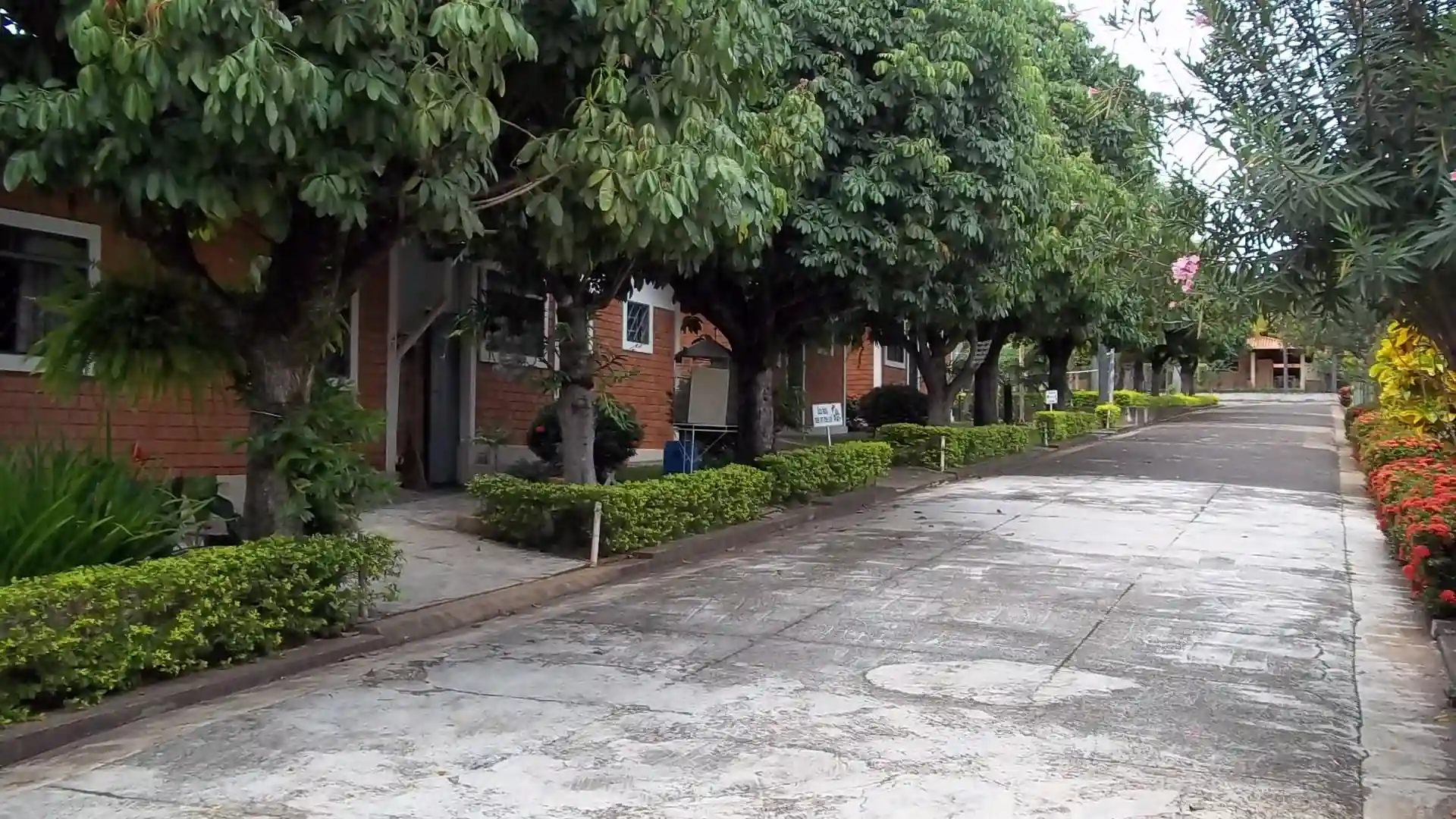 Imóvel Comercial com 11 quartos à venda, 5000m² — foto 5 de 17