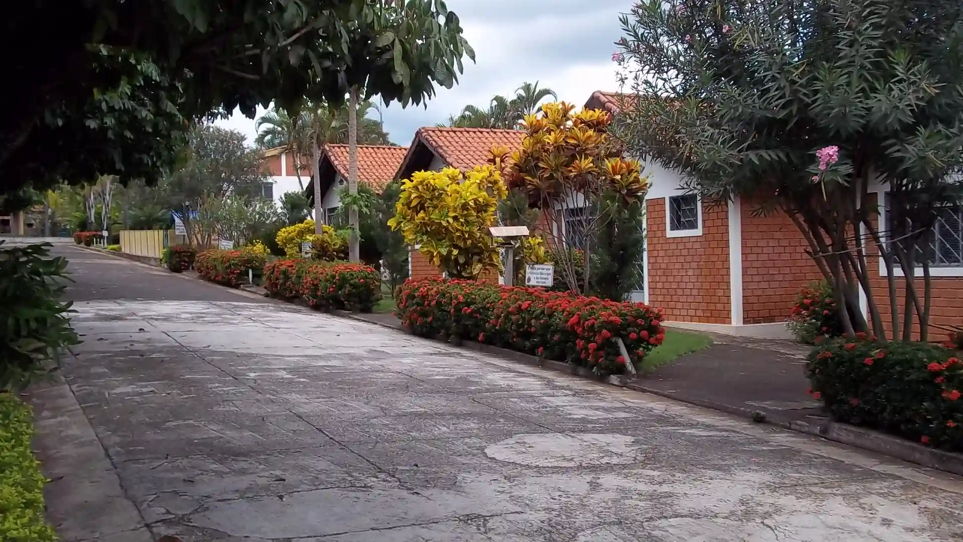 Imóvel Comercial com 11 quartos à venda, 5000m² — foto 4 de 17