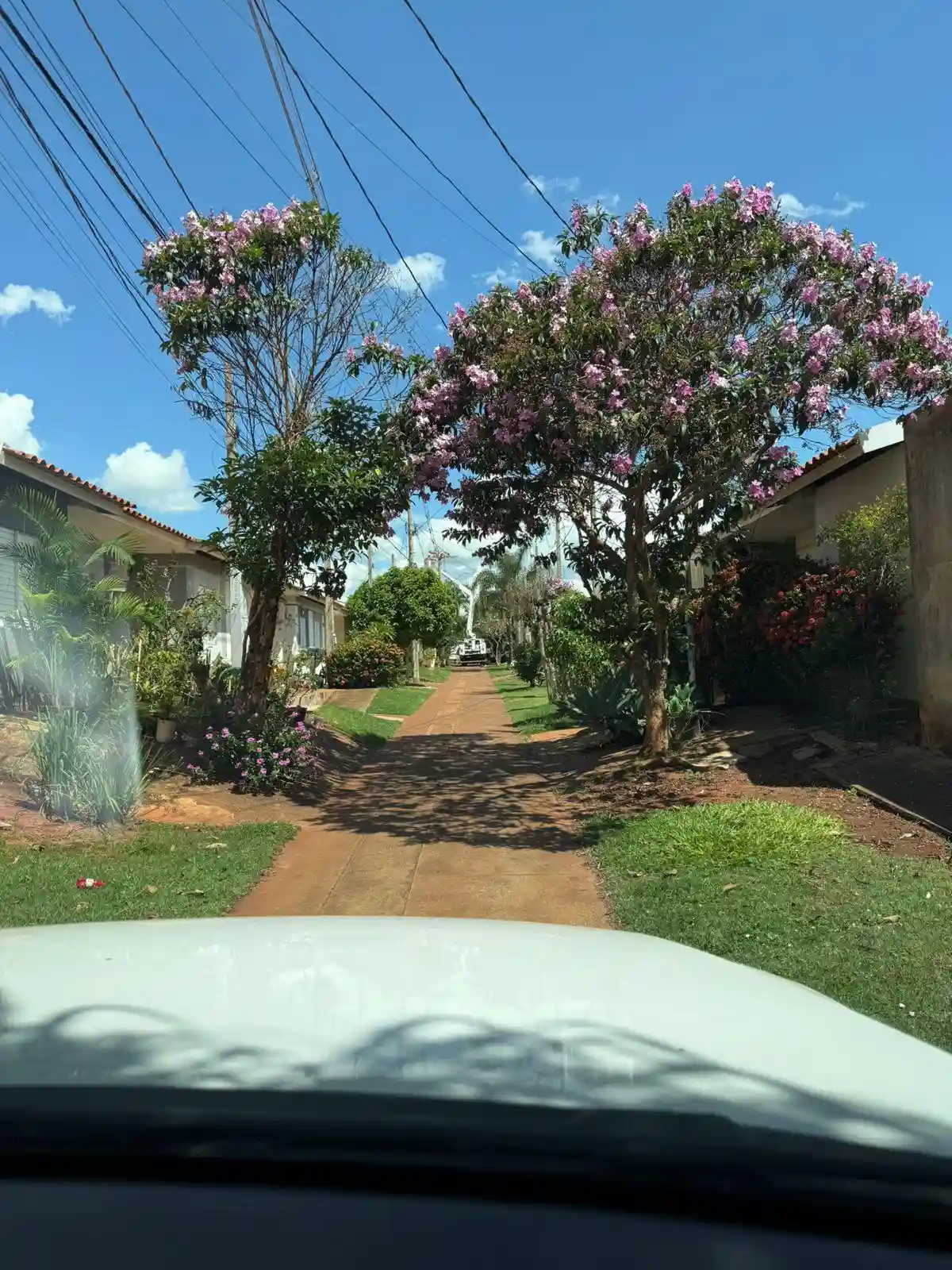 Casa de Condomínio com 2 quartos à venda, 80m² — foto 9 de 12