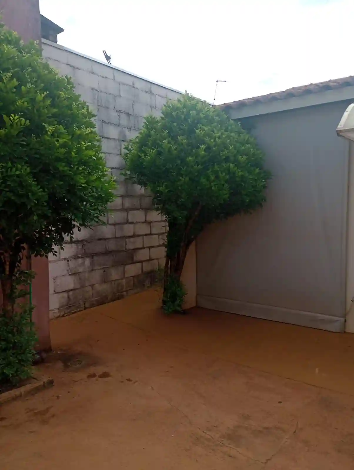 Casa de Condomínio com 3 quartos à venda, 102m² — foto 10 de 11
