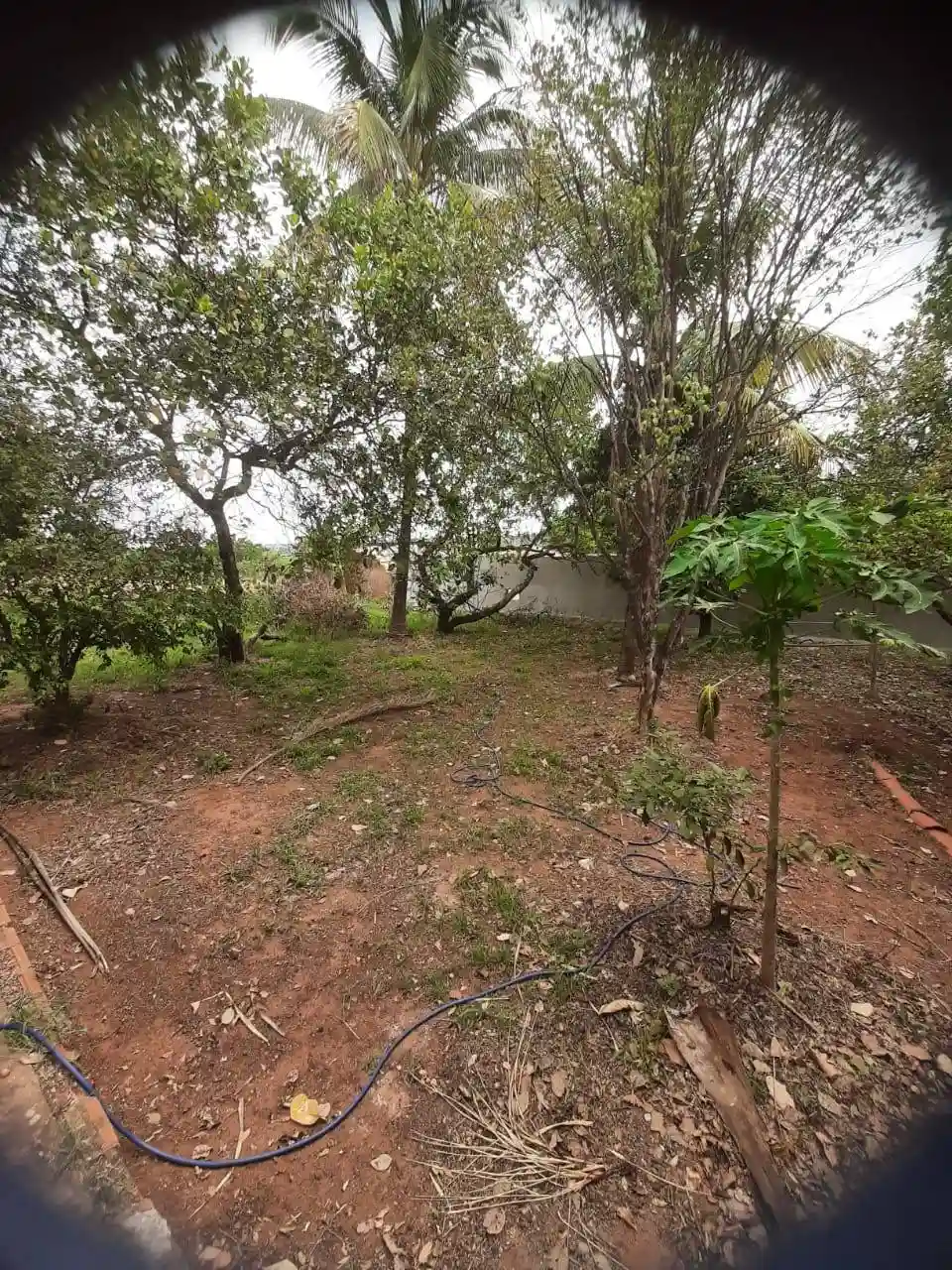 Fazenda / Sítio / Chácara com 3 quartos à venda, 1000m² — foto 5 de 14