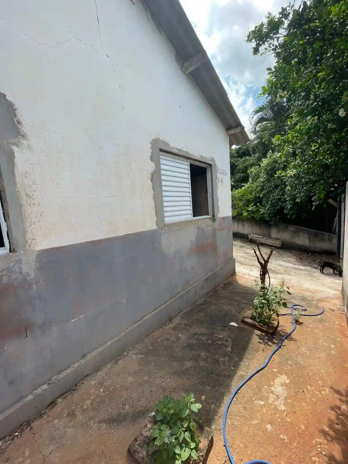 Fazenda / Sítio / Chácara com 3 quartos à venda, 1000m² — foto 9 de 14