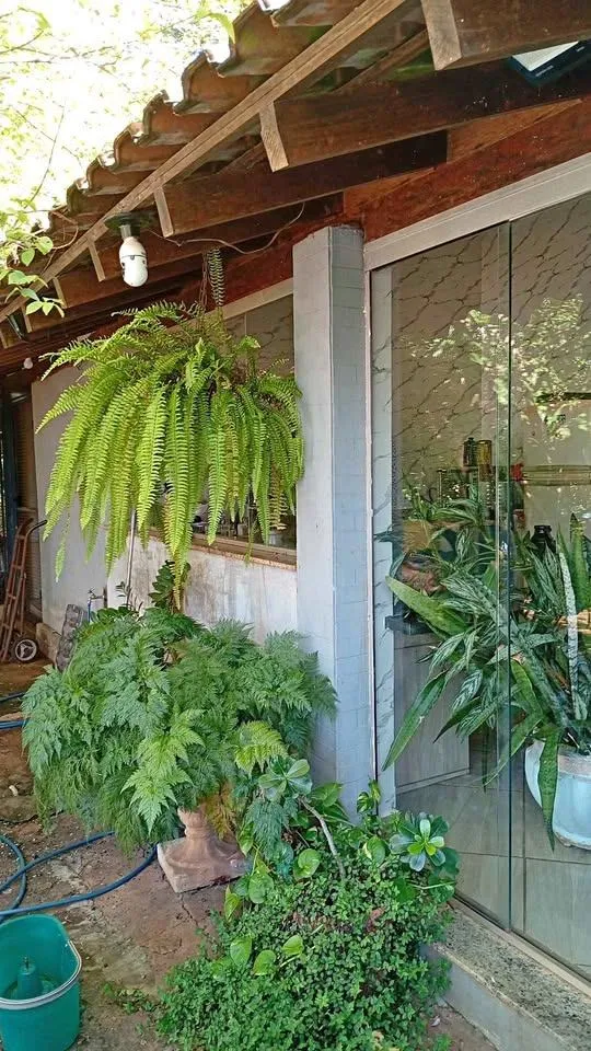 Fazenda / Sítio / Chácara com 2 quartos à venda, 6000m² — foto 29 de 29