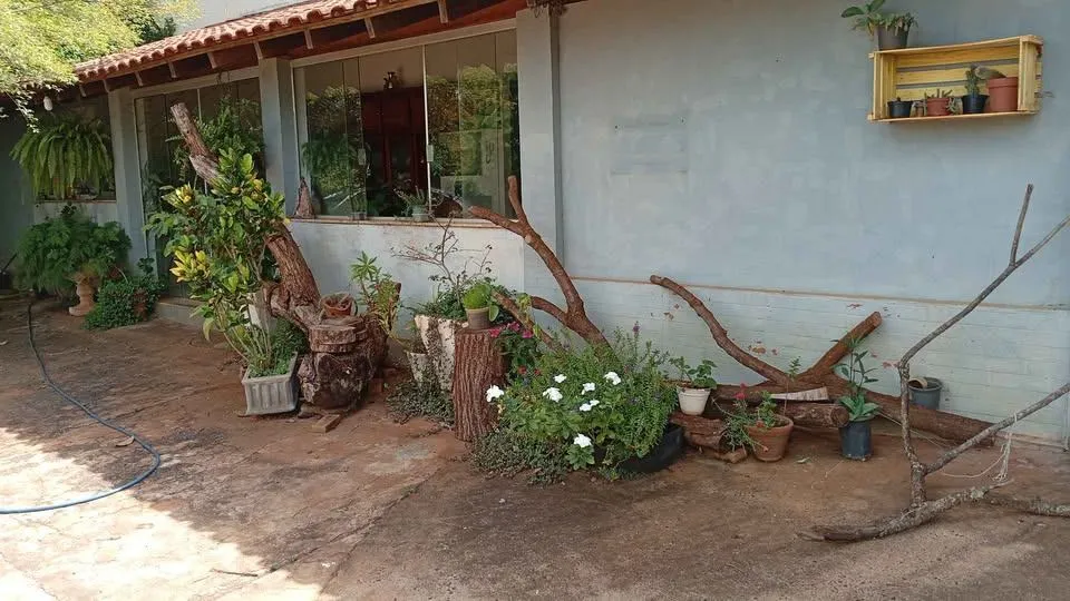Fazenda / Sítio / Chácara com 2 quartos à venda, 6000m² — foto 25 de 29