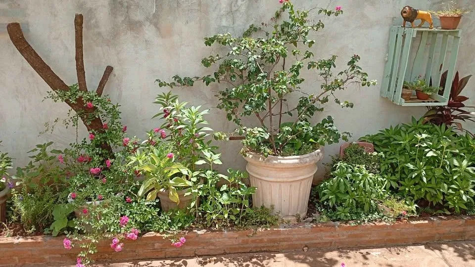 Fazenda / Sítio / Chácara com 2 quartos à venda, 6000m² — foto 24 de 29