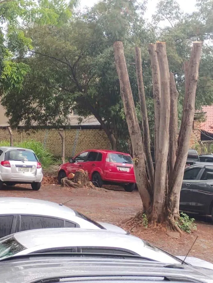 Fazenda / Sítio / Chácara com 2 quartos à venda, 6000m² — foto 13 de 29