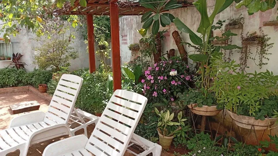 Fazenda / Sítio / Chácara com 2 quartos à venda, 6000m² — foto 3 de 29