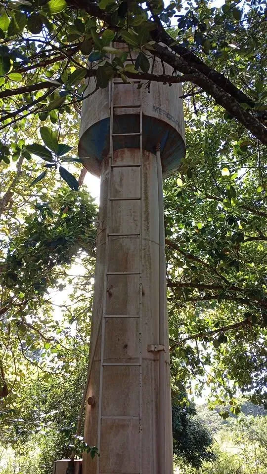 Fazenda / Sítio / Chácara com 2 quartos à venda, 6000m² — foto 4 de 29