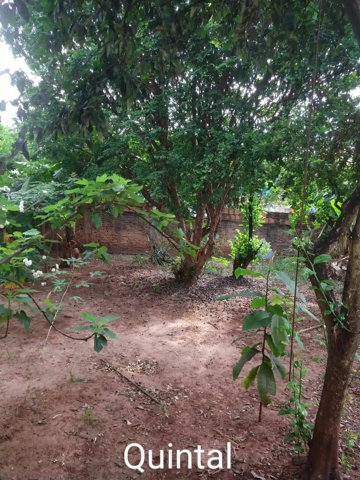 Casa com 2 quartos à venda, 366m² — foto 14 de 17