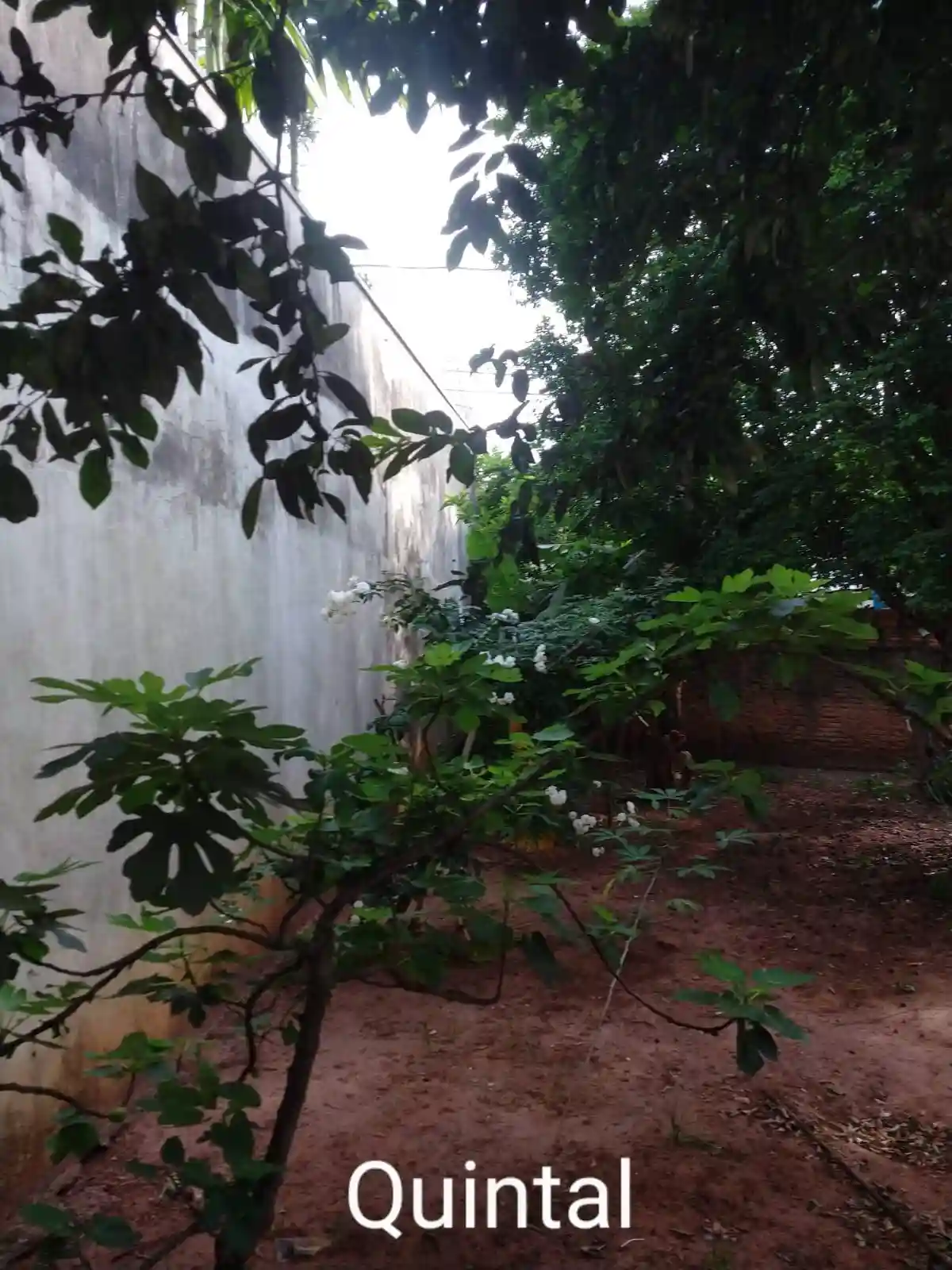Casa com 2 quartos à venda, 366m² — foto 15 de 17