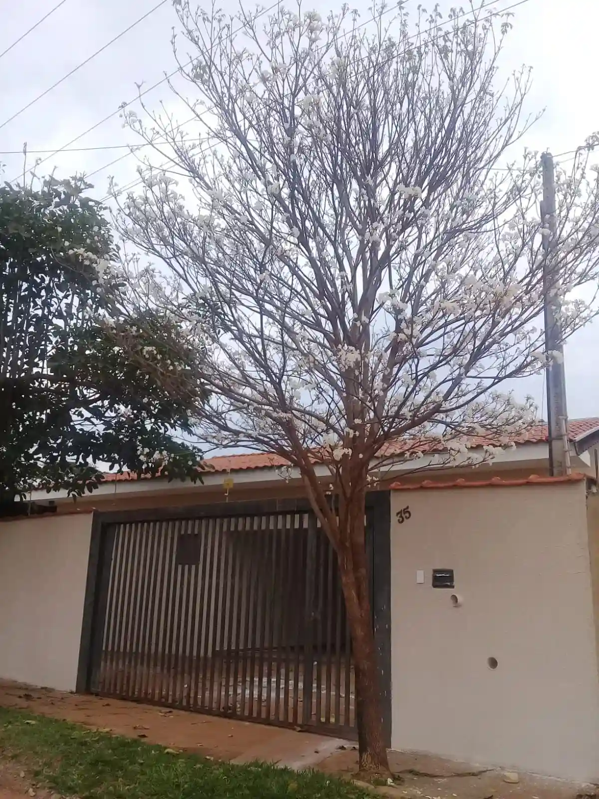 Fazenda / Sítio / Chácara à venda — foto 5 de 18