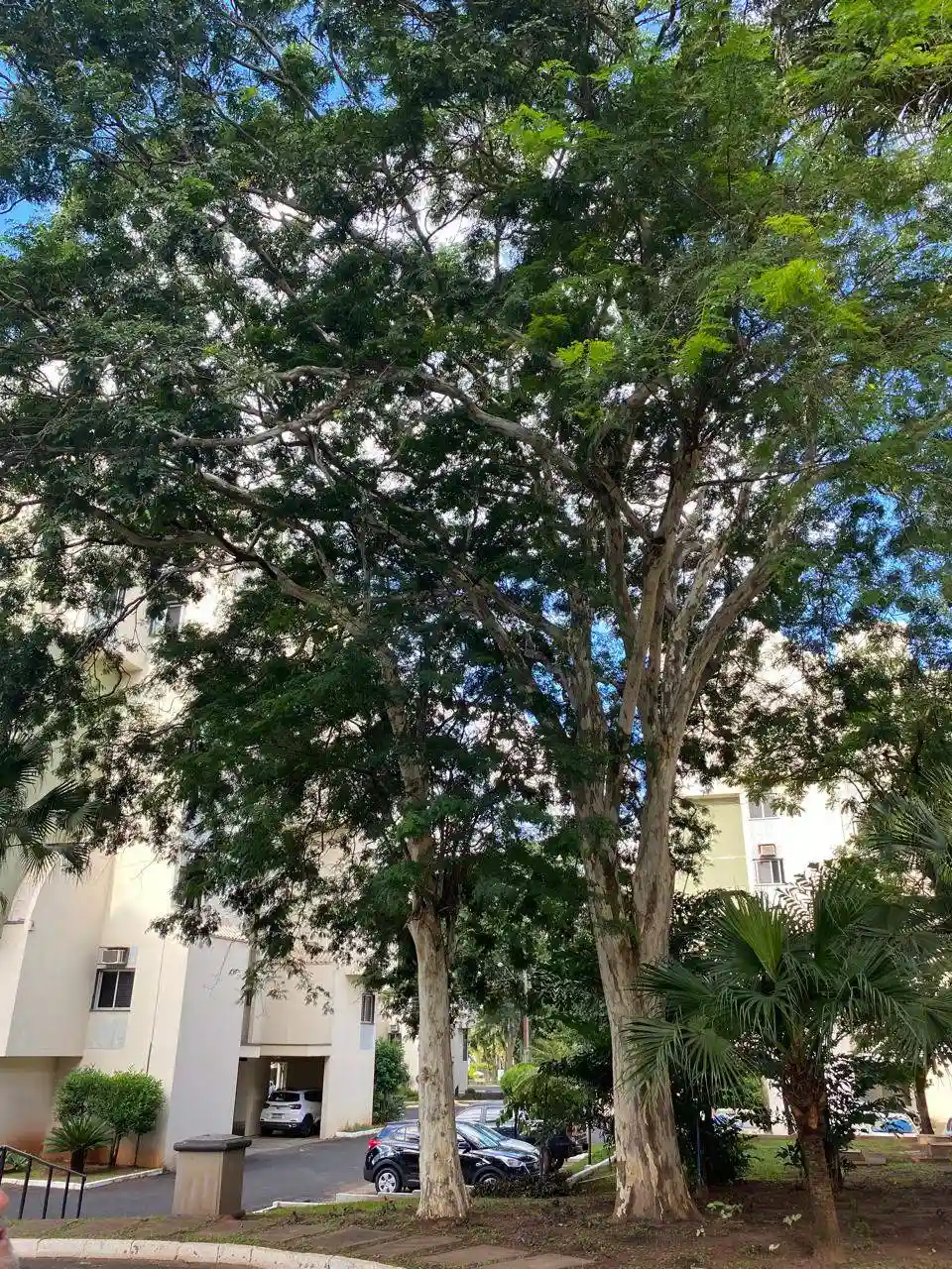Apartamento com 3 quartos à venda, 110m² — foto 5 de 26