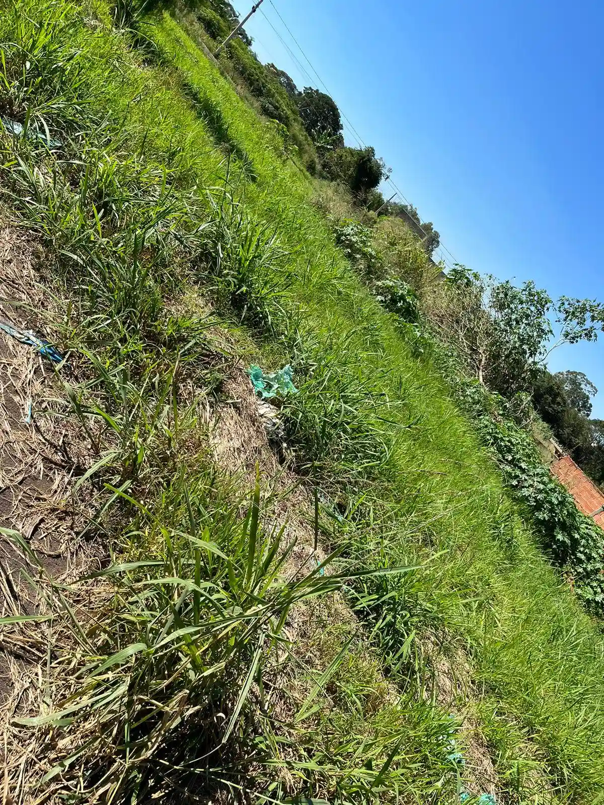 Terreno / Lote / Condomínio  à venda, 216m² — foto 1 de 1