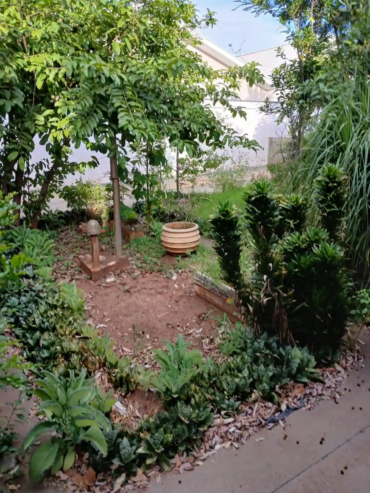 Casa Comercial com 3 quartos à venda, 180m² — foto 43 de 49