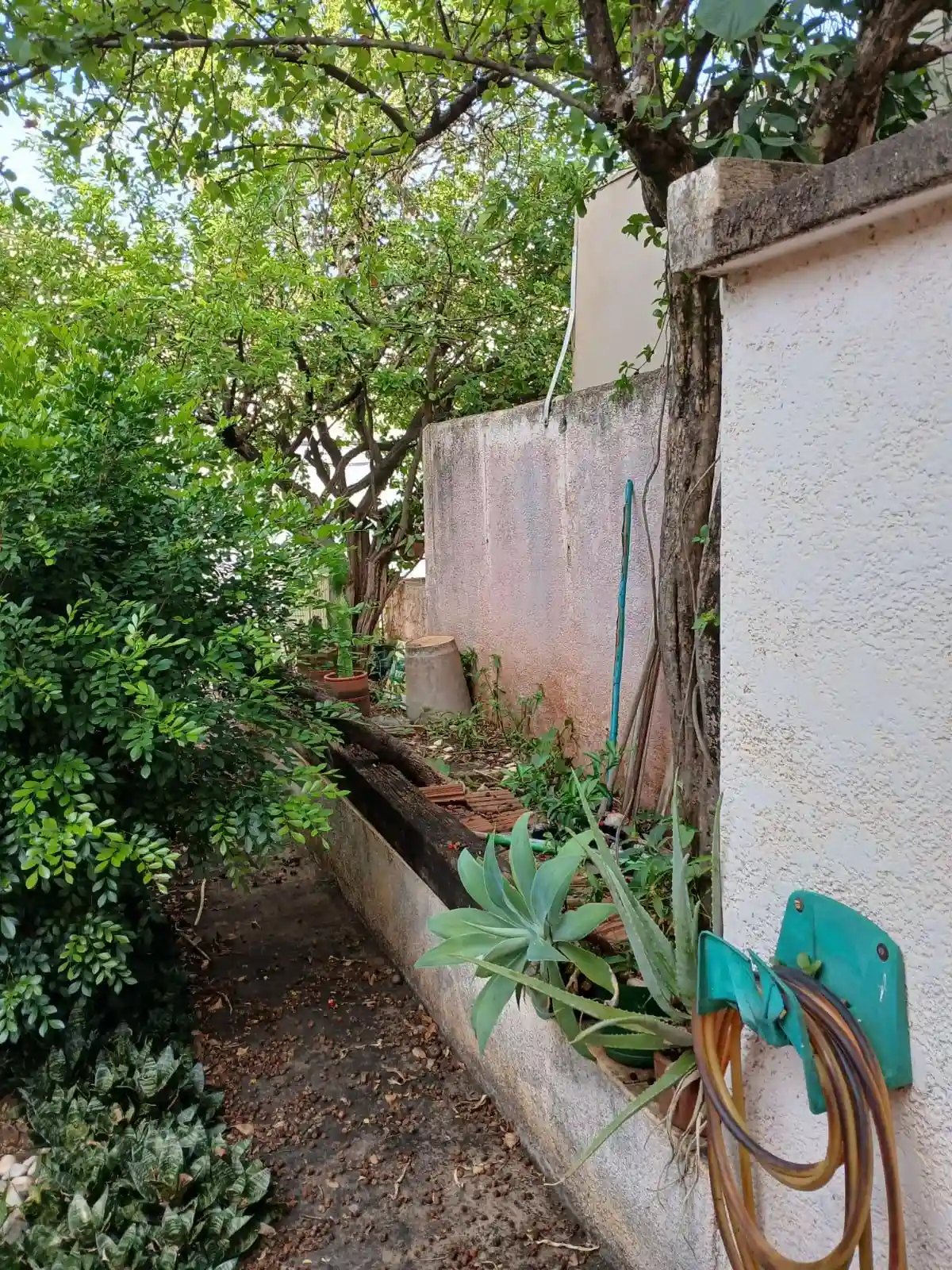 Casa Comercial com 3 quartos à venda, 180m² — foto 44 de 49