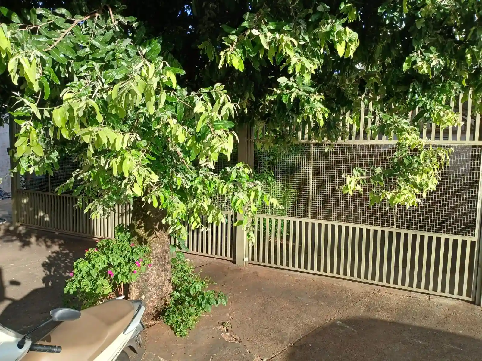 Casa Comercial com 3 quartos à venda, 180m² — foto 48 de 49