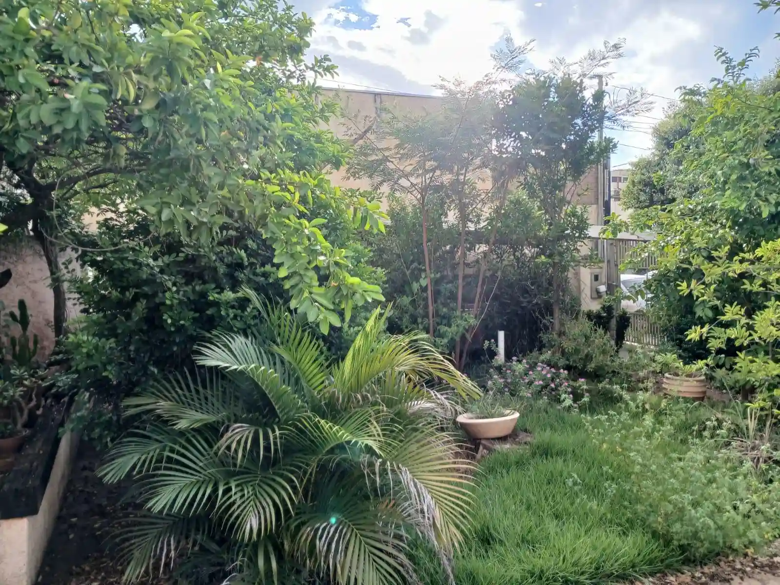 Casa Comercial com 3 quartos à venda, 180m² — foto 42 de 49