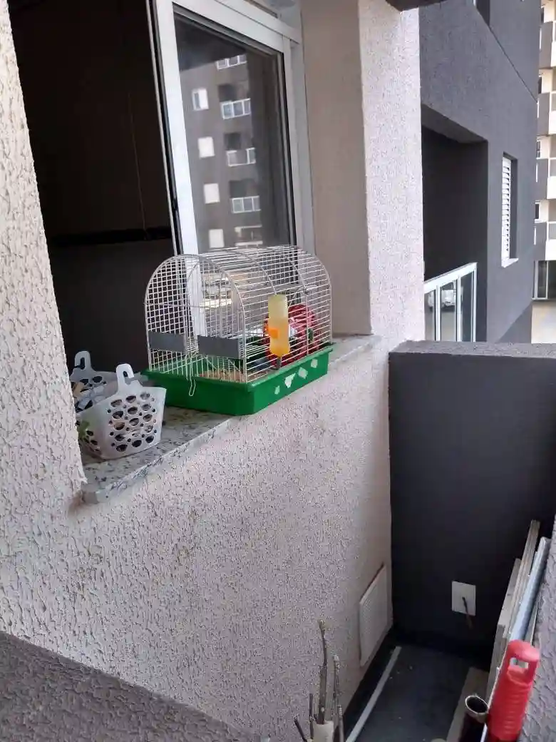 Apartamento com 2 quartos à venda, 58m² — foto 12 de 60