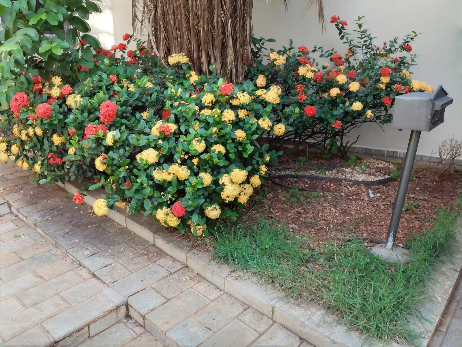 Casa com 3 quartos à venda, 130m² — foto 4 de 30