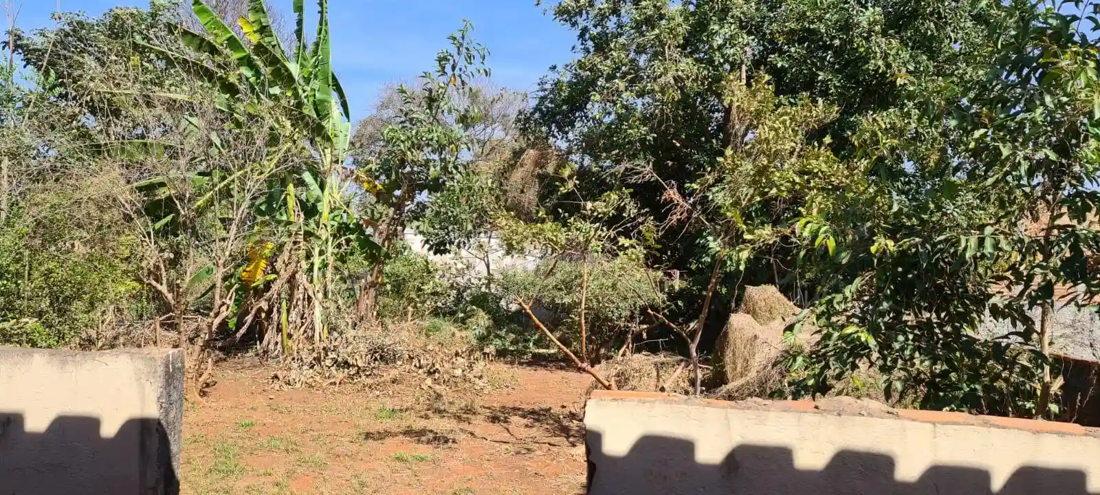 Fazenda / Sítio / Chácara com 3 quartos à venda, 1000m² — foto 18 de 19