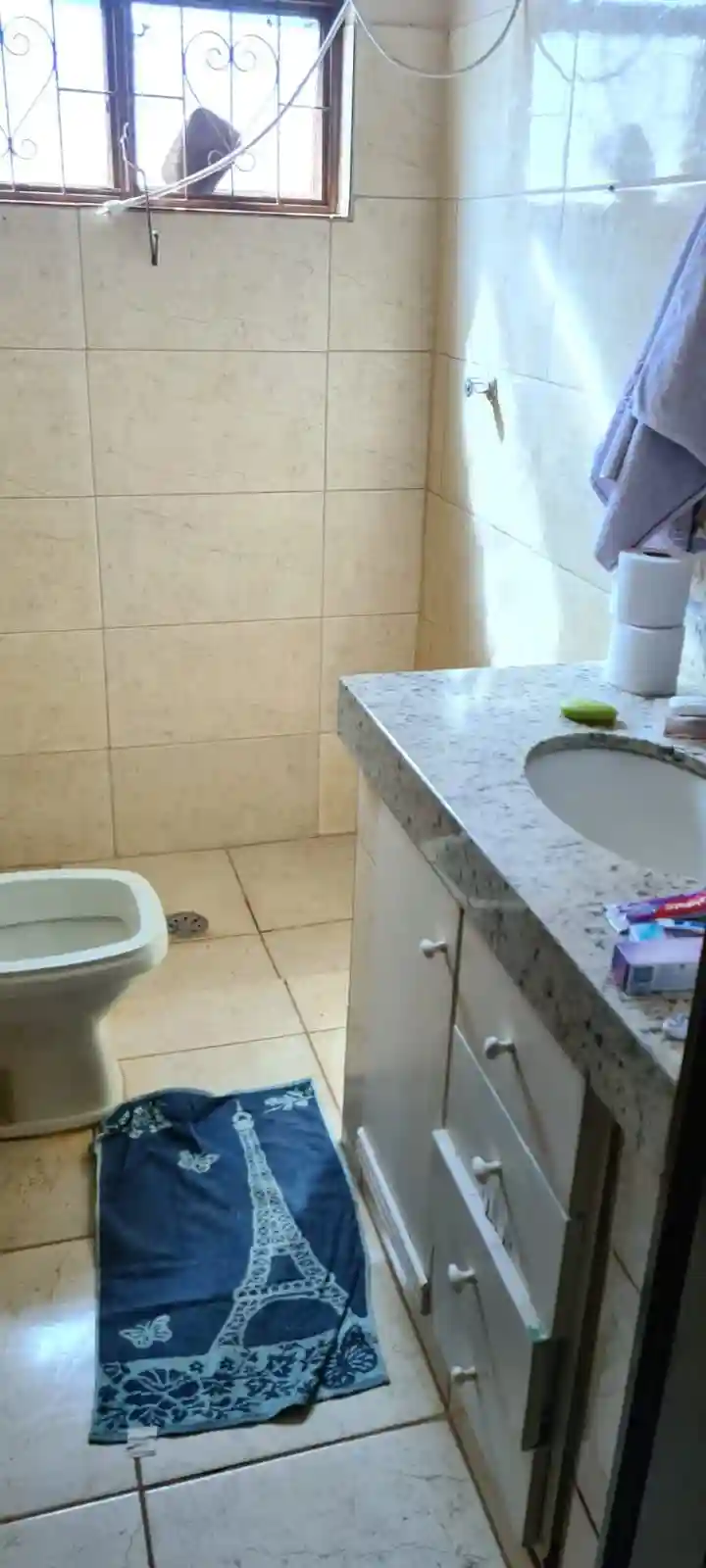 Fazenda / Sítio / Chácara com 3 quartos à venda, 1000m² — foto 9 de 19