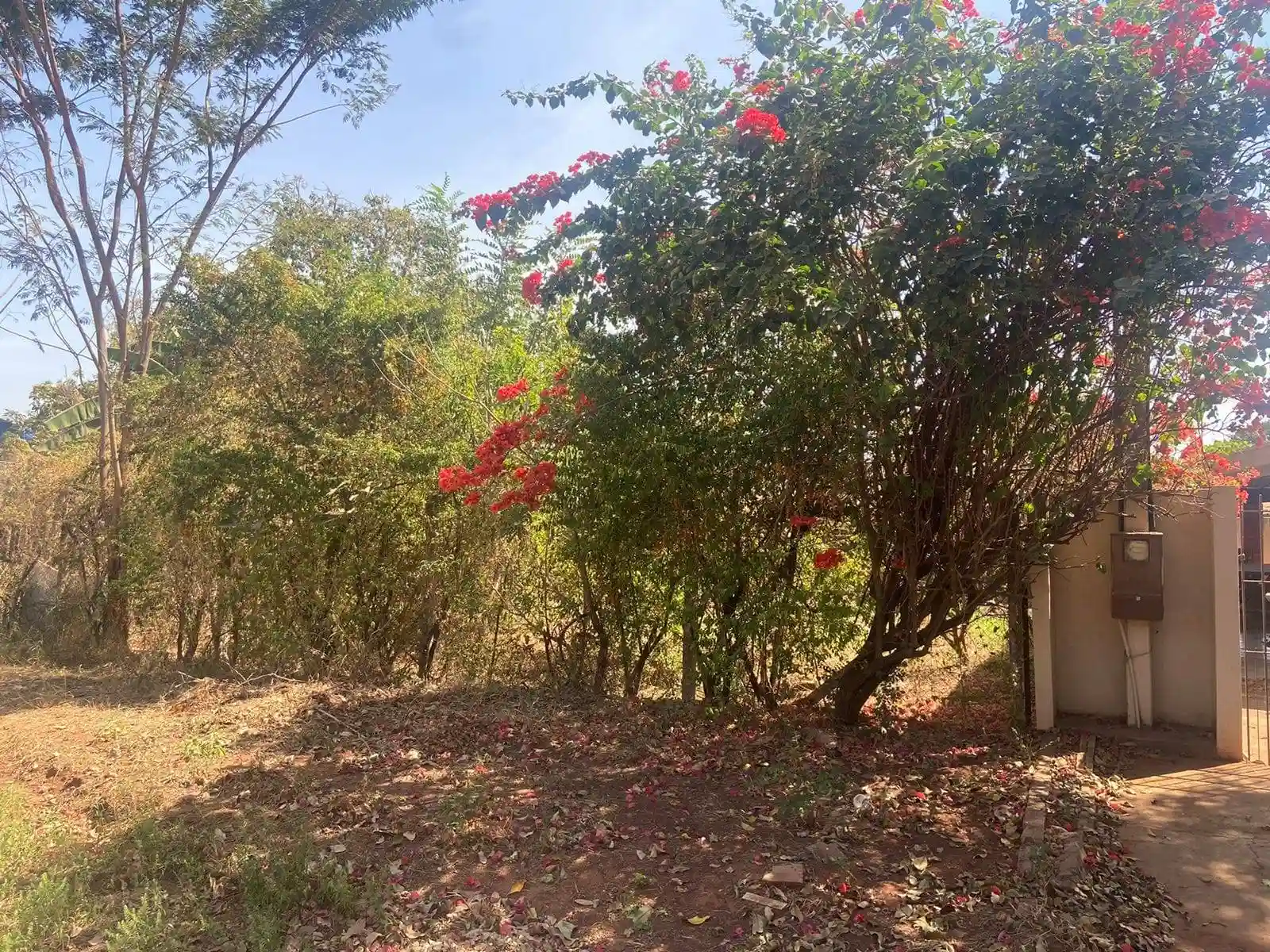 Fazenda / Sítio / Chácara com 3 quartos à venda, 1000m² — foto 15 de 19