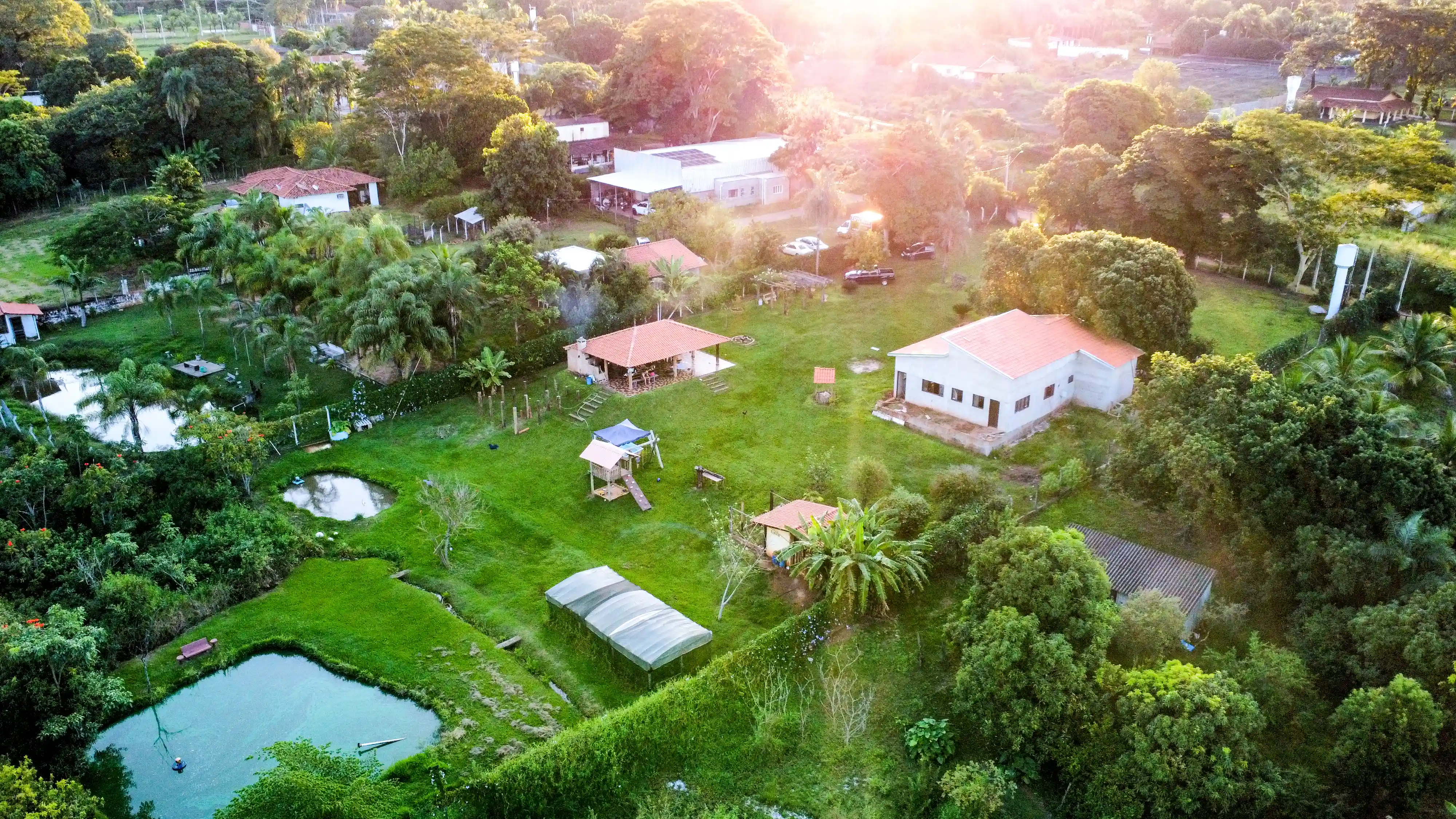 Fazenda / Sítio / Chácara com 3 quartos à venda, 7000m² — foto 8 de 11