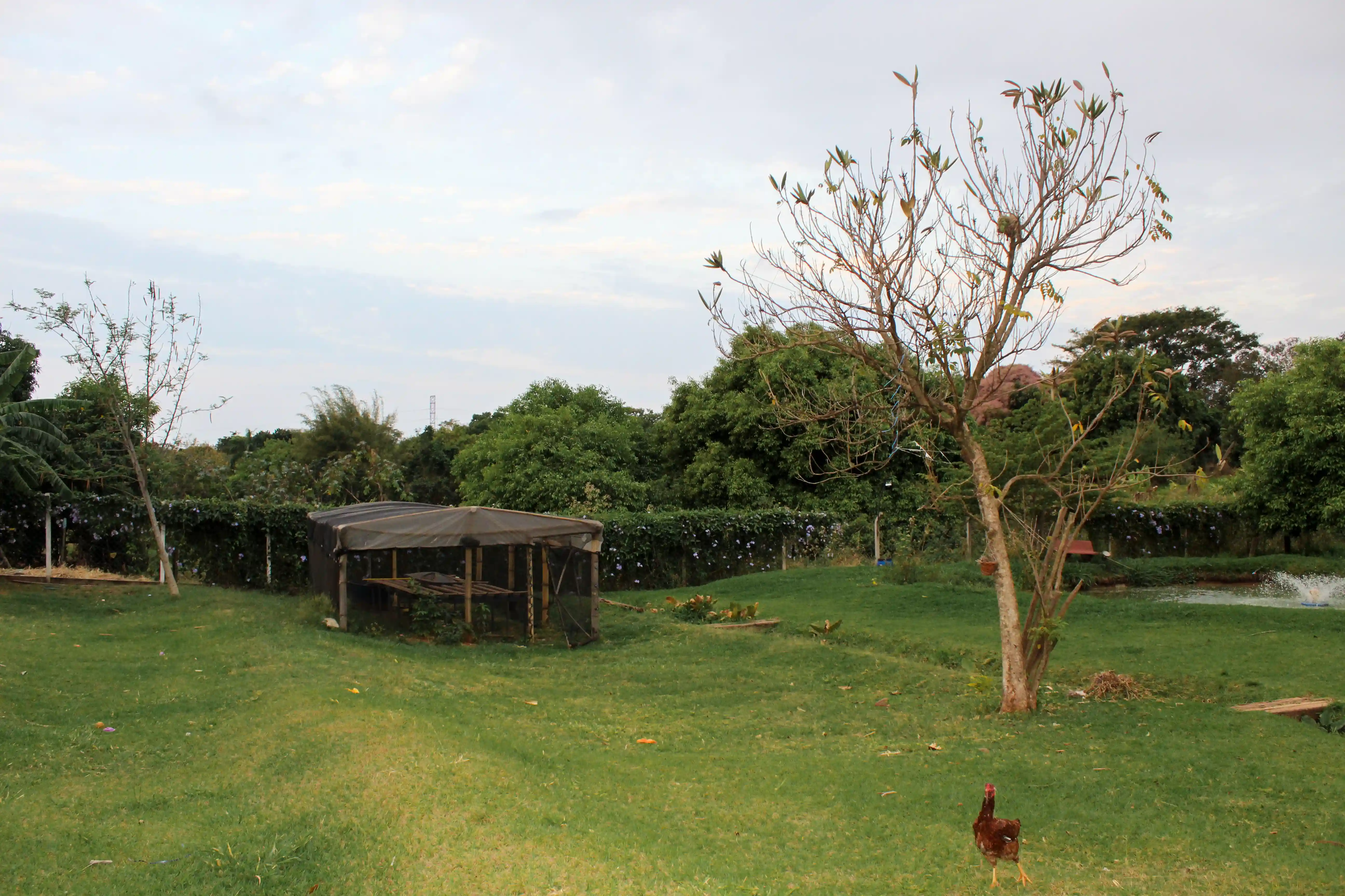 Fazenda / Sítio / Chácara com 3 quartos à venda, 7000m² — foto 2 de 11