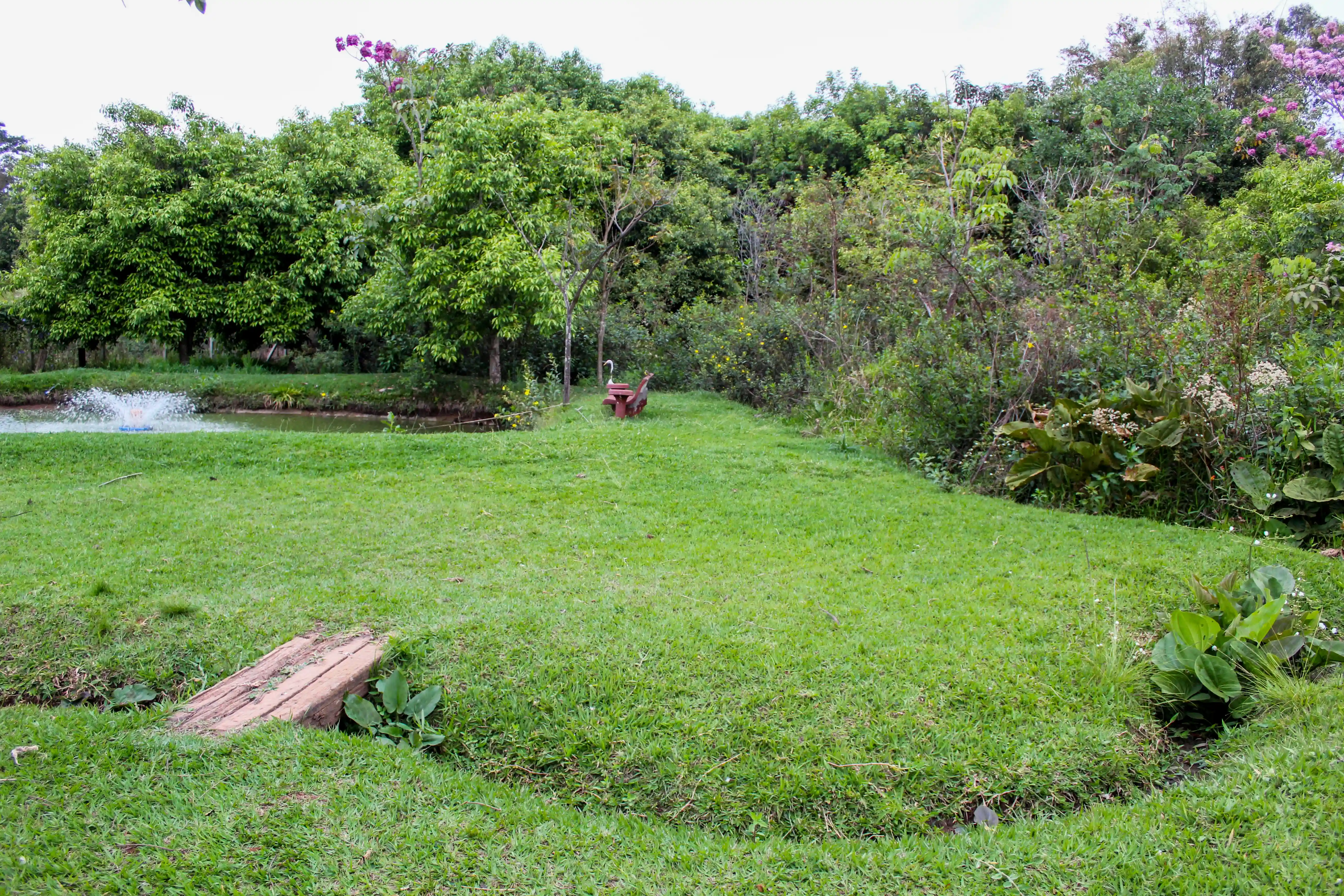 Fazenda / Sítio / Chácara com 3 quartos à venda, 7000m² — foto 5 de 11