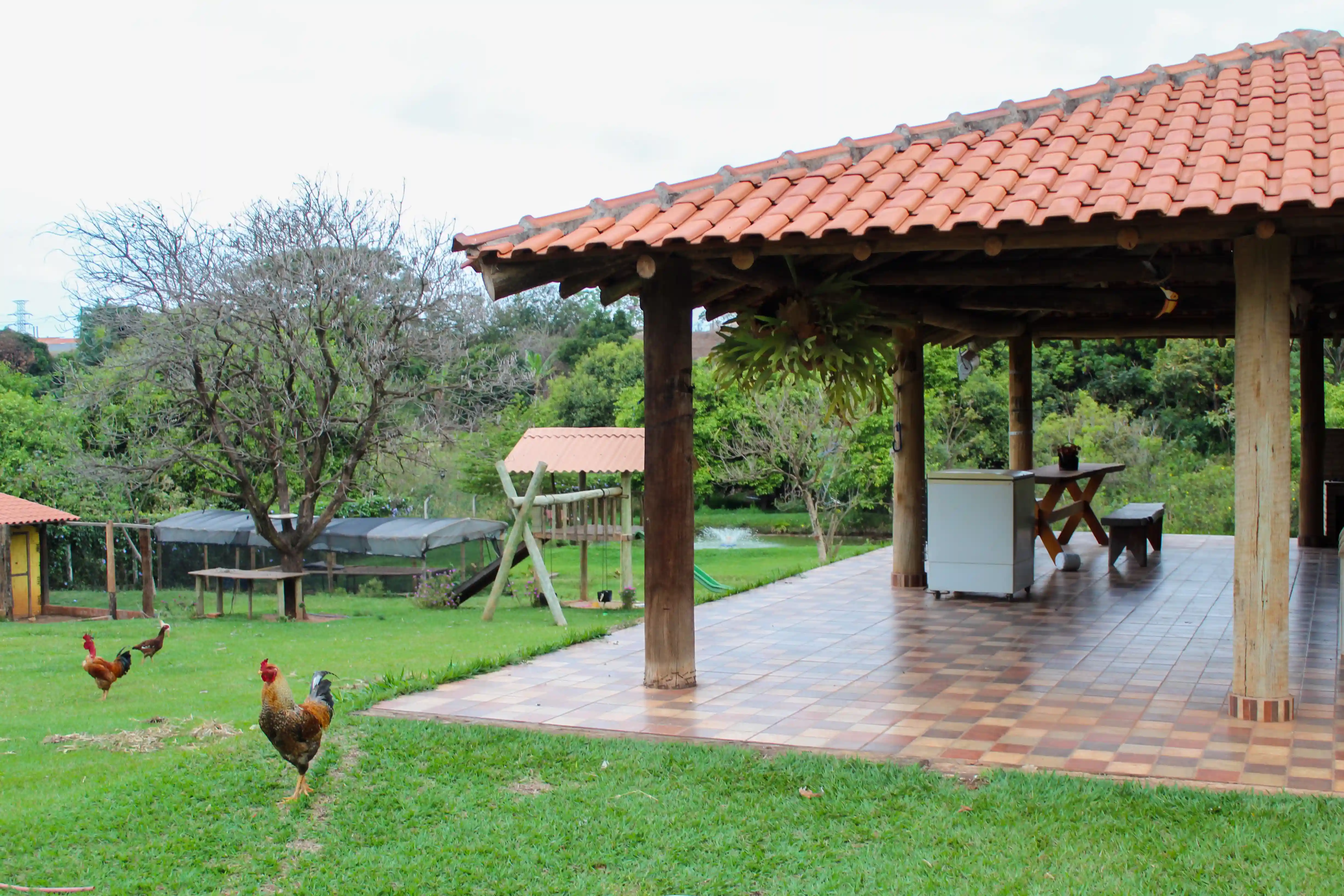Fazenda / Sítio / Chácara com 3 quartos à venda, 7000m² — foto 7 de 11