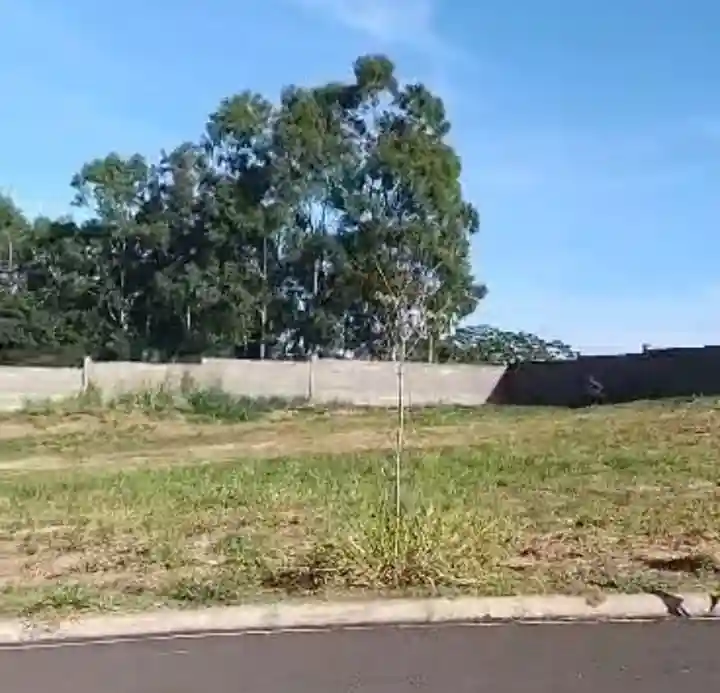 Terreno / Lote / Condomínio  à venda, 585m² — foto 18 de 20