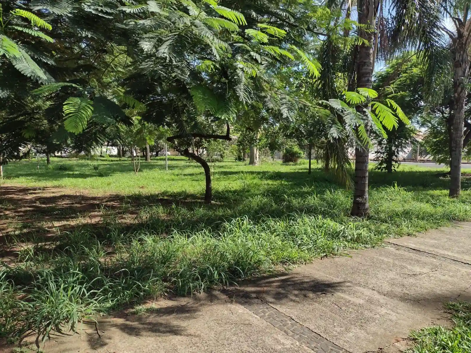 Apartamento com 3 quartos para aluguel, 120m² — foto 8 de 9