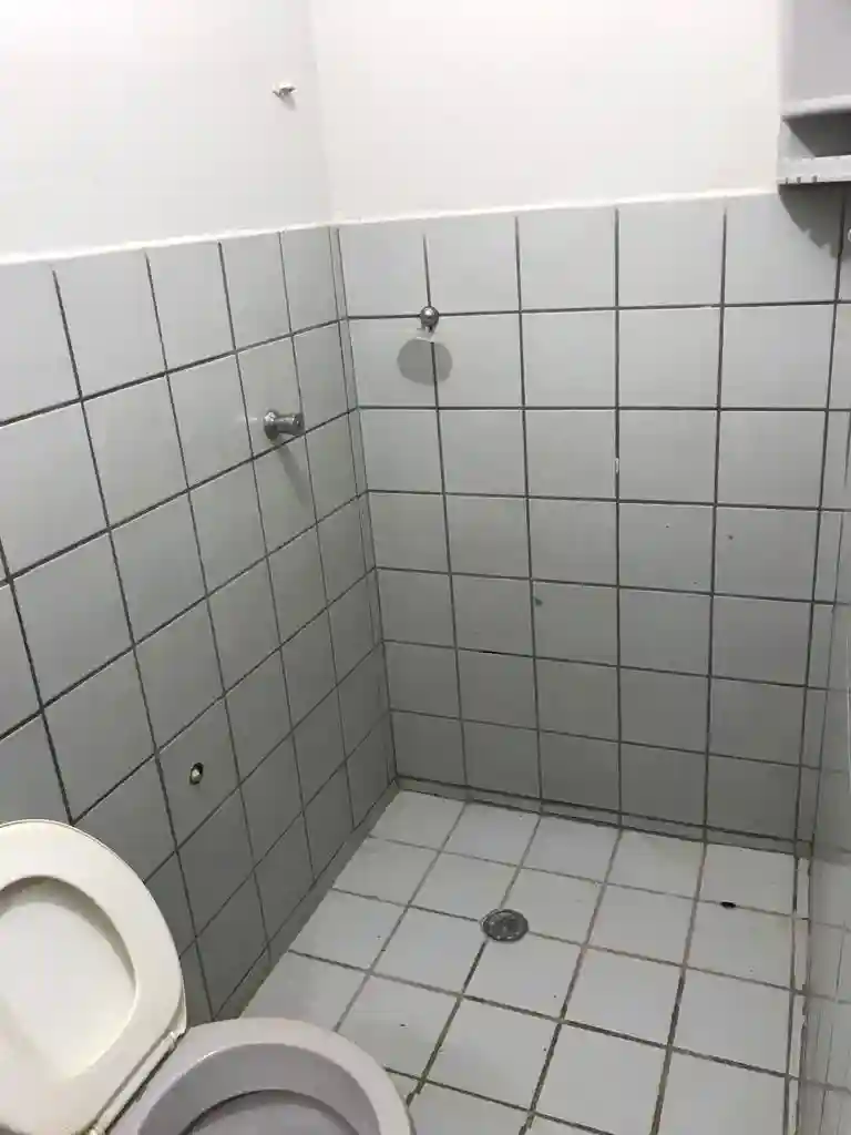Fazenda / Sítio / Chácara com 3 quartos à venda, 200m² — foto 20 de 22
