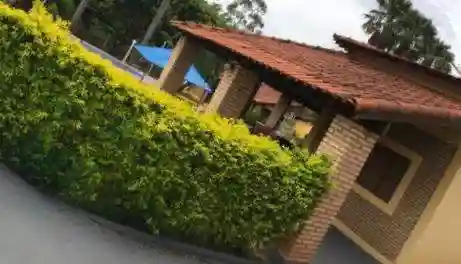 Fazenda / Sítio / Chácara com 3 quartos à venda, 200m² — foto 1 de 22