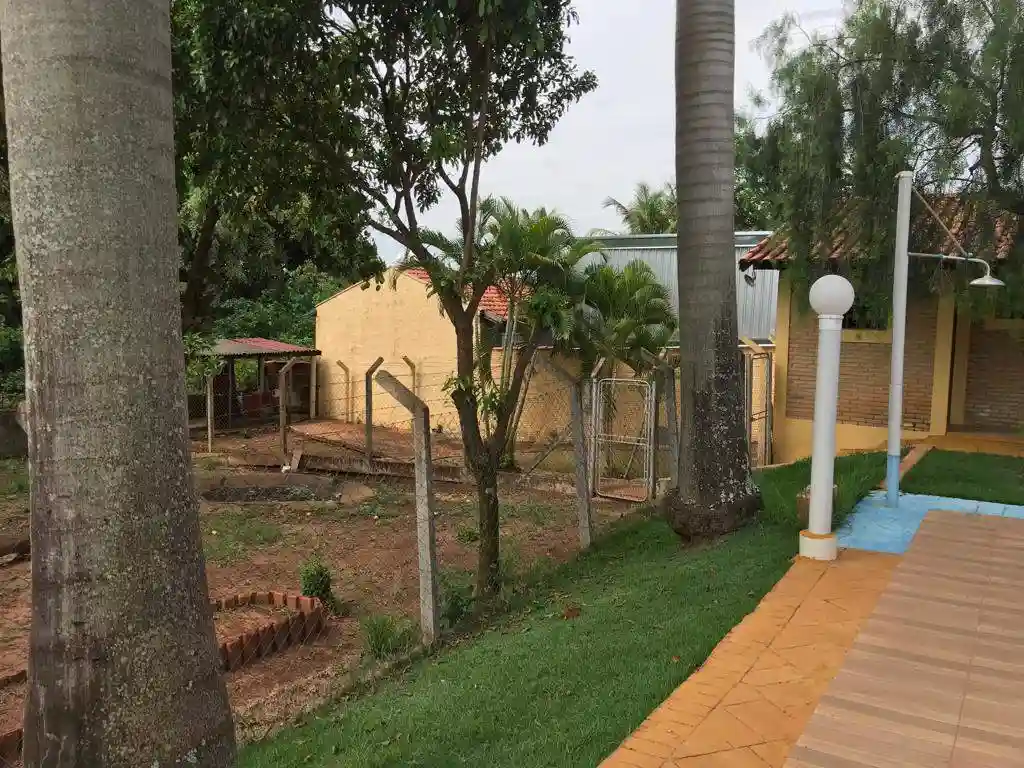 Fazenda / Sítio / Chácara com 3 quartos à venda, 200m² — foto 10 de 22