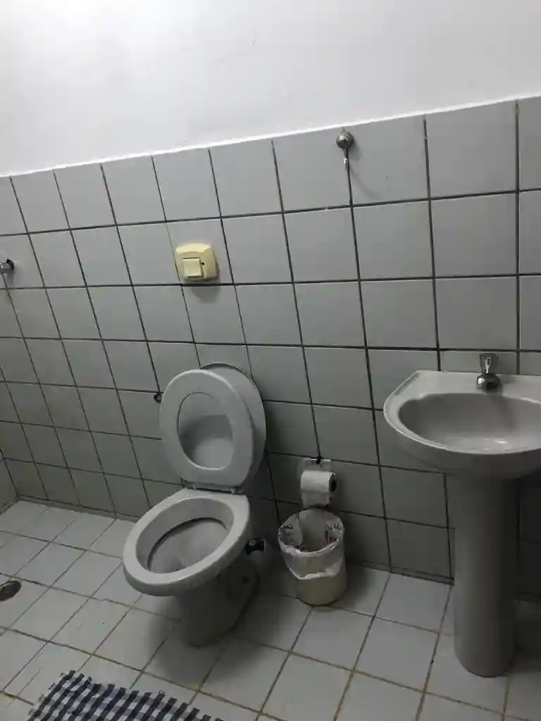 Fazenda / Sítio / Chácara com 3 quartos à venda, 200m² — foto 12 de 22