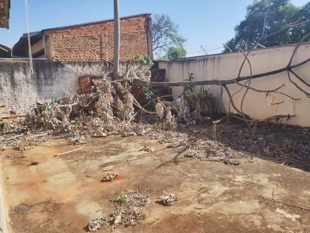 Casa com 2 quartos à venda, 200m² — foto 11 de 14