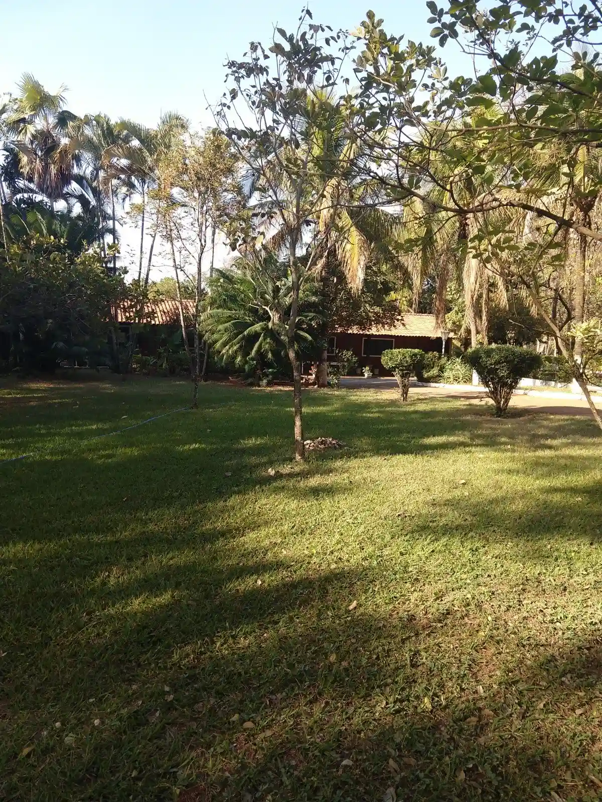 Fazenda / Sítio / Chácara com 3 quartos à venda, 6000m² — foto 13 de 32