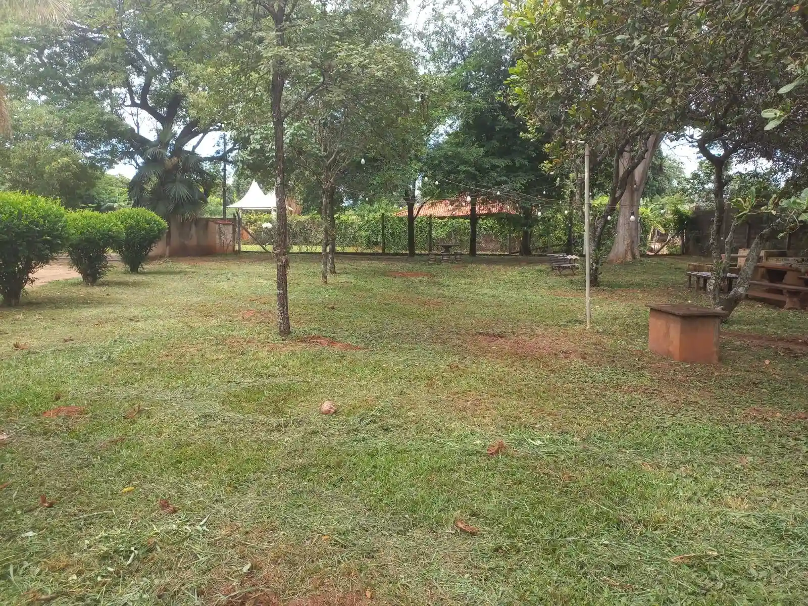 Fazenda / Sítio / Chácara com 3 quartos à venda, 6000m² — foto 21 de 32