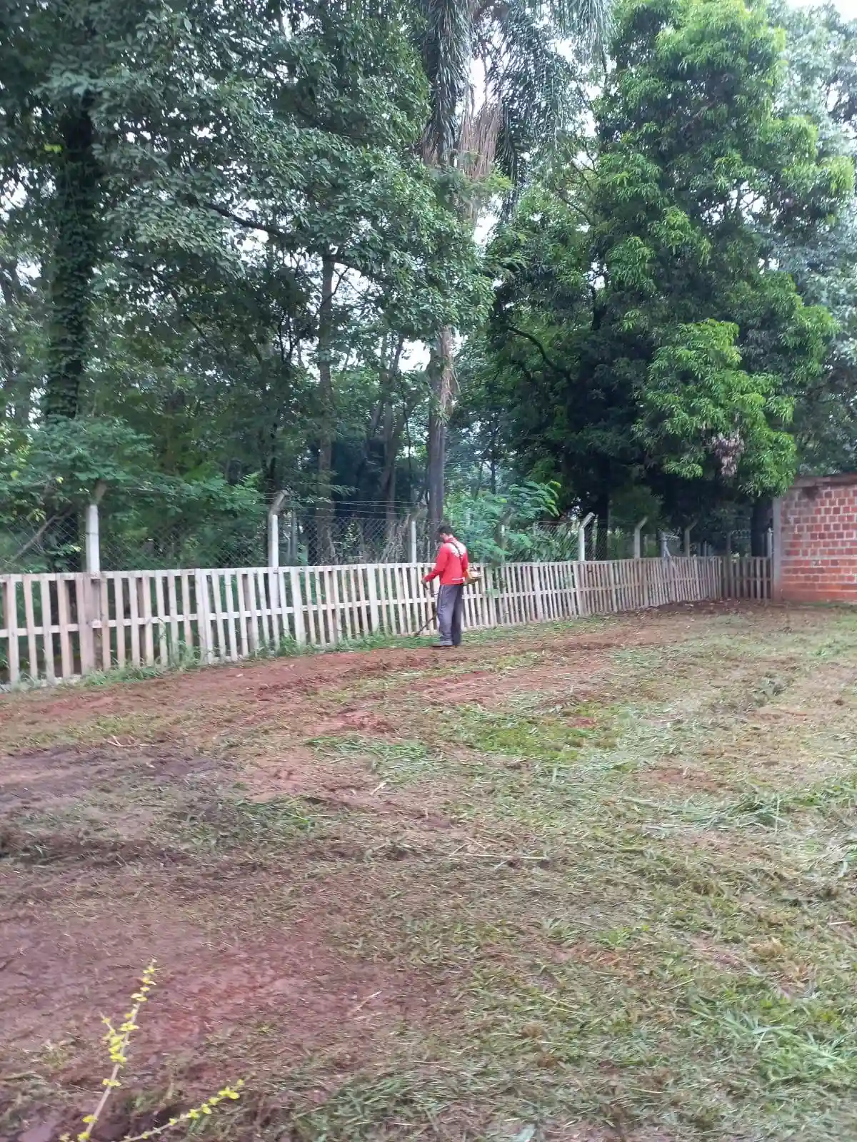 Fazenda / Sítio / Chácara com 3 quartos à venda, 6000m² — foto 28 de 32