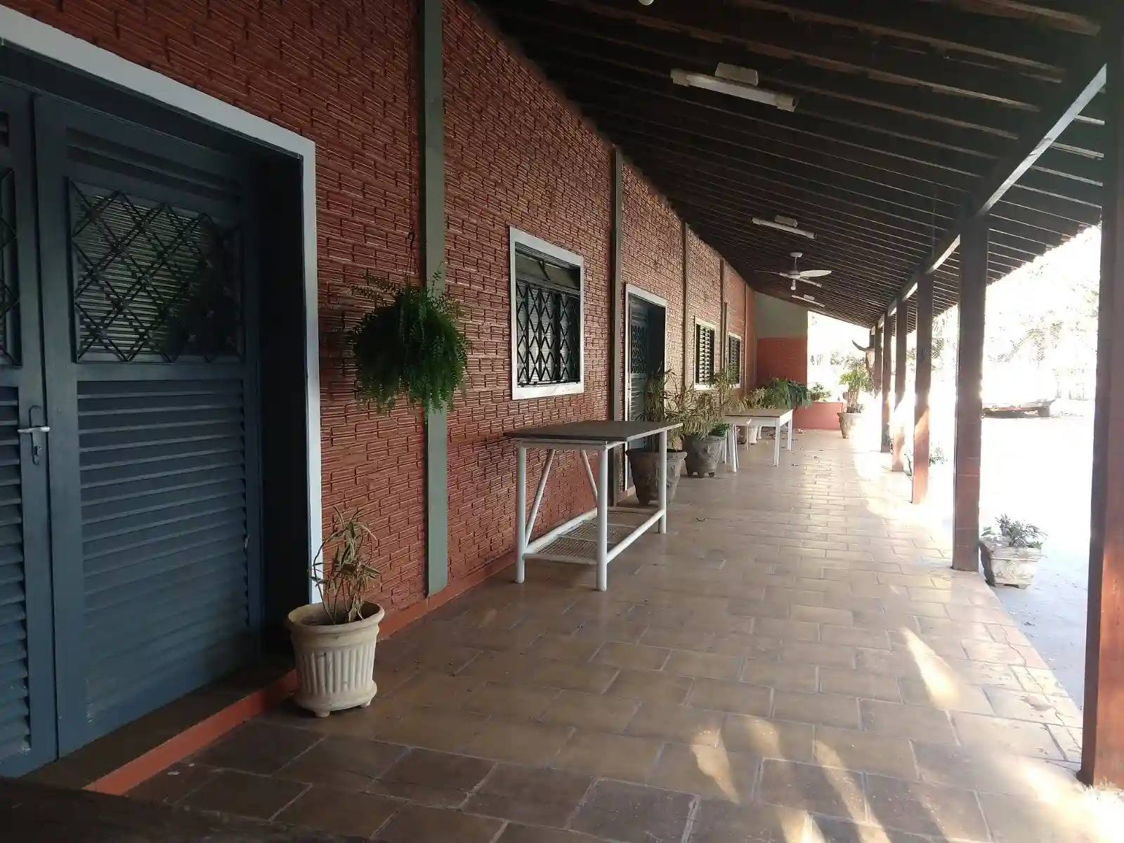 Fazenda / Sítio / Chácara com 3 quartos à venda, 6000m² — foto 20 de 32