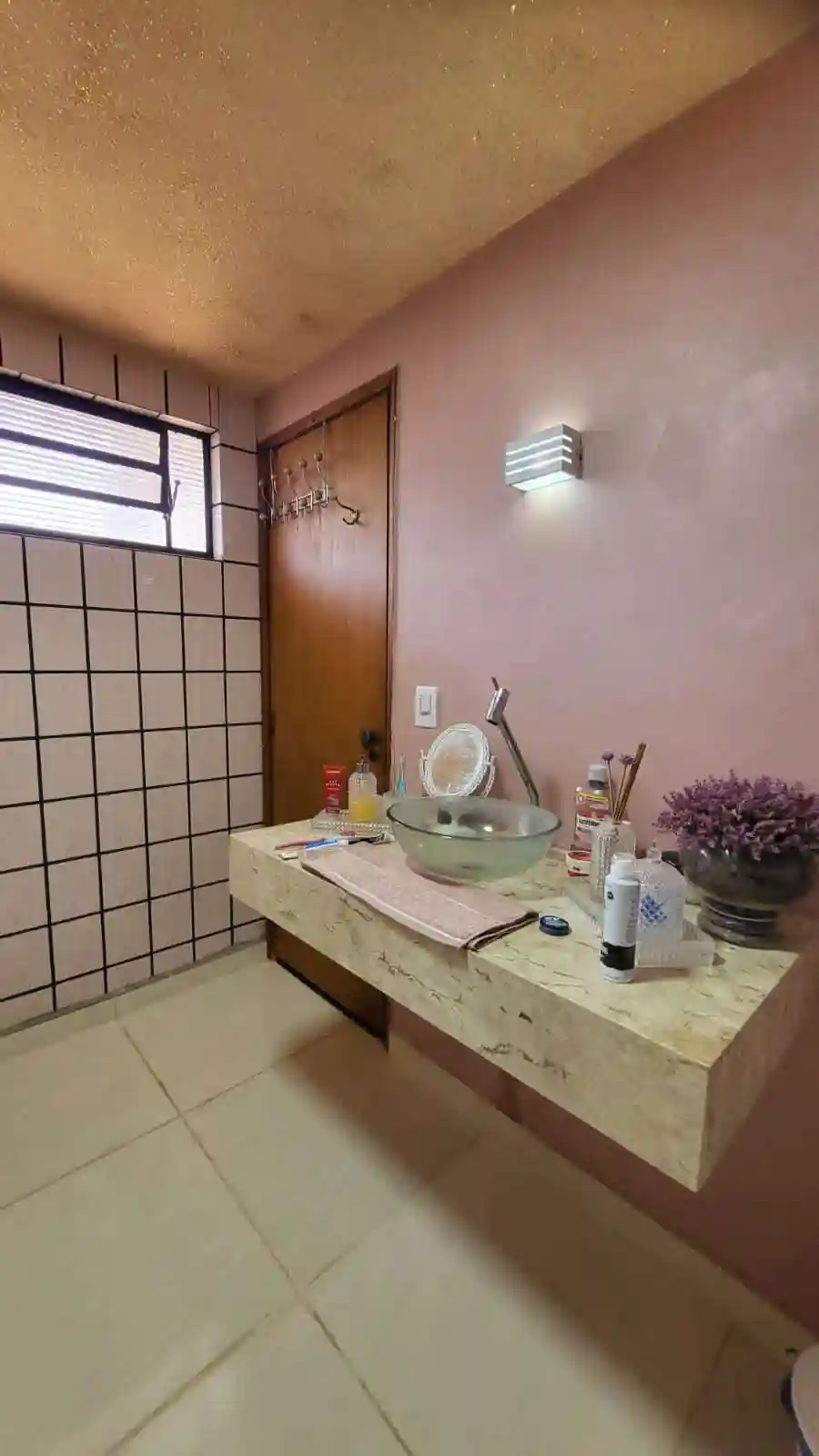 Fazenda / Sítio / Chácara com 3 quartos à venda, 6000m² — foto 12 de 32