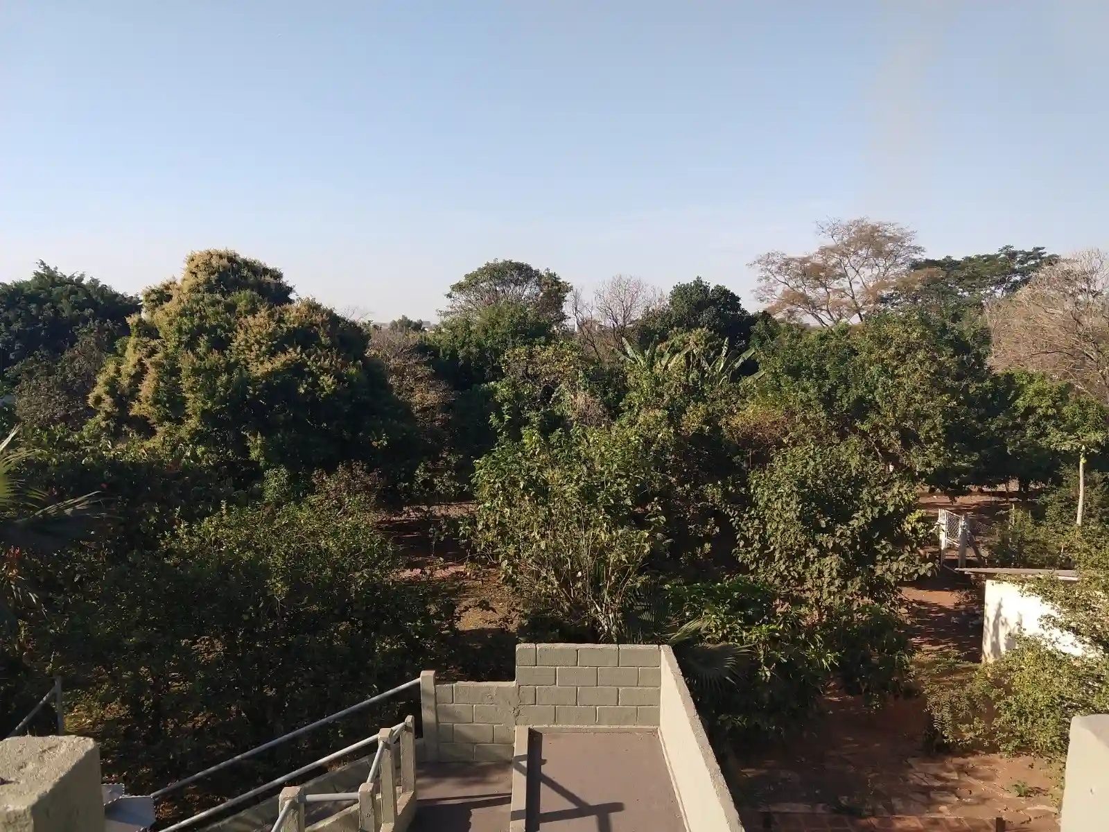 Fazenda / Sítio / Chácara com 3 quartos à venda, 6000m² — foto 18 de 32
