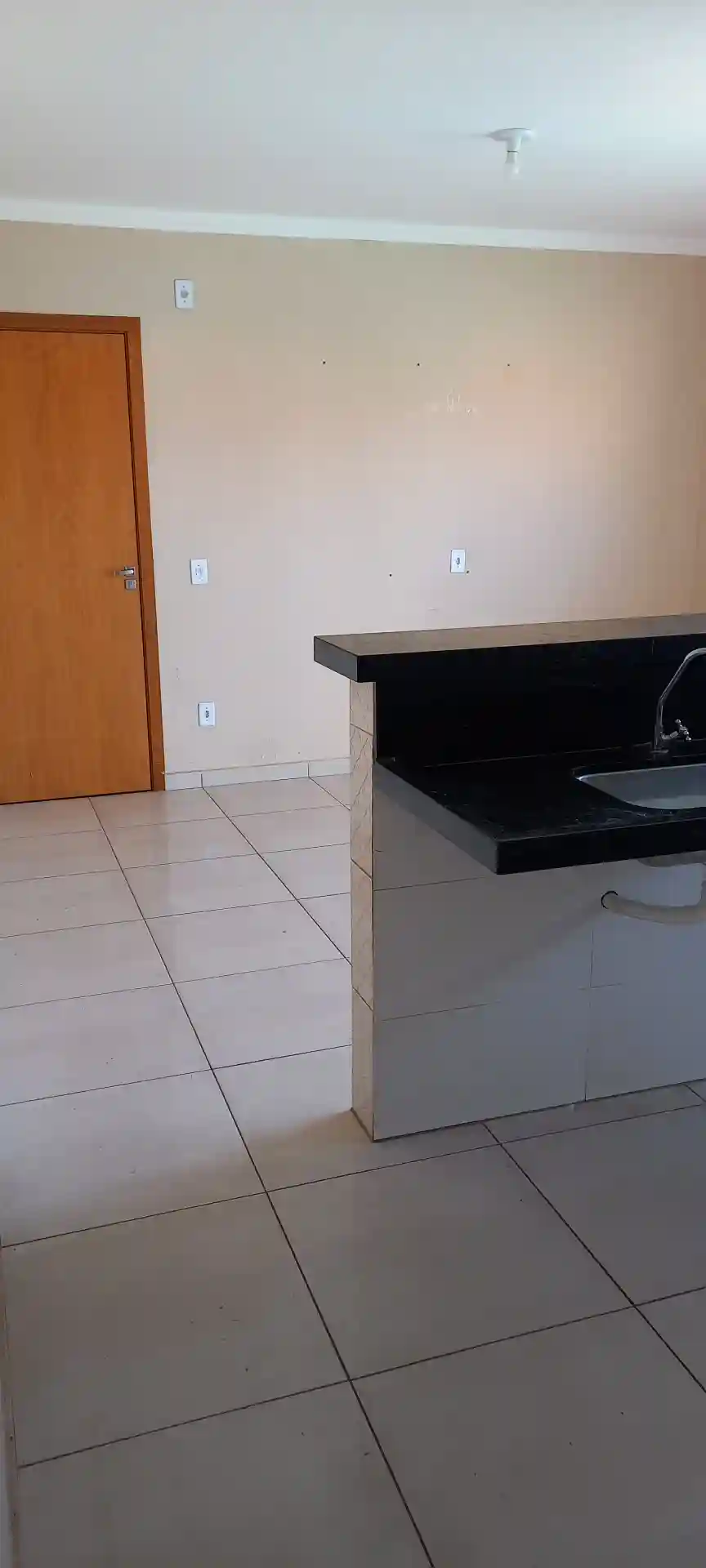 Apartamento com 2 quartos para aluguel — foto 6 de 14