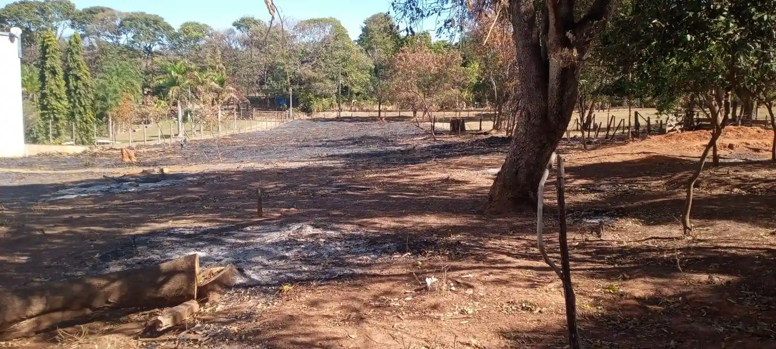 Fazenda / Sítio / Chácara com 2 quartos à venda, 8000m² — foto 1 de 9