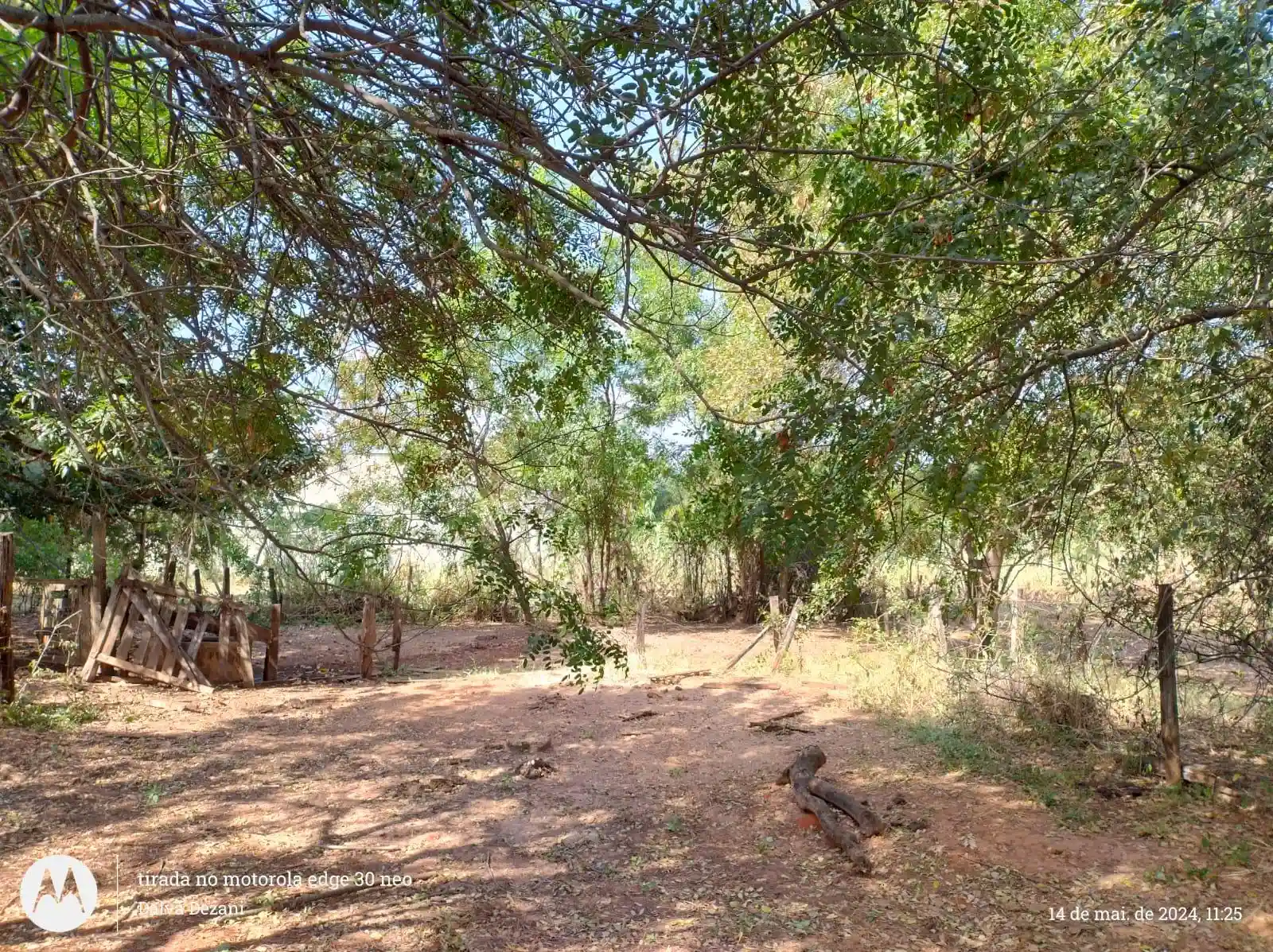 Fazenda / Sítio / Chácara com 2 quartos à venda, 8000m² — foto 3 de 9