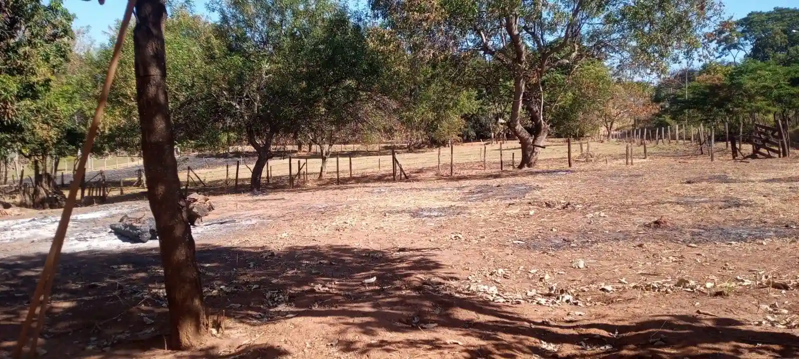 Fazenda / Sítio / Chácara com 2 quartos à venda, 8000m² — foto 7 de 9