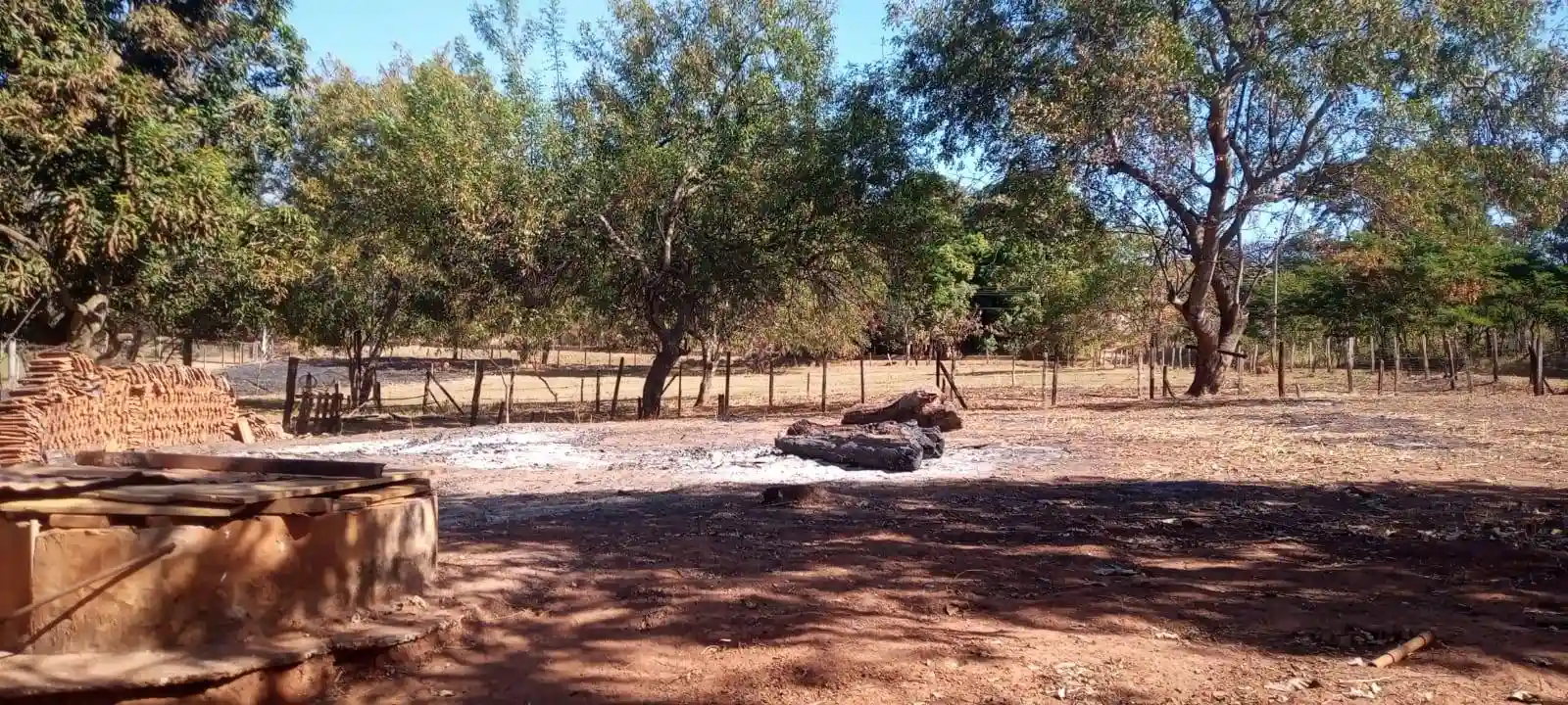 Fazenda / Sítio / Chácara com 2 quartos à venda, 8000m² — foto 6 de 9