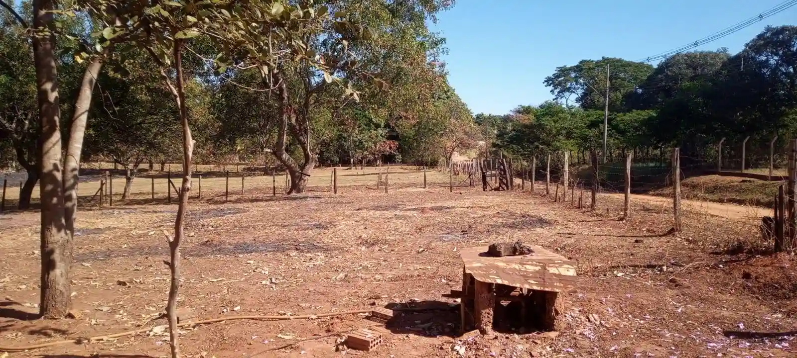 Fazenda / Sítio / Chácara com 2 quartos à venda, 8000m² — foto 9 de 9